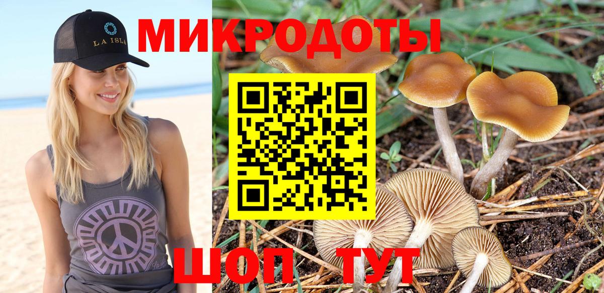 Псилоцибиновые грибы Cubensis Назарово